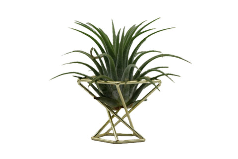 Nwsrayu gold geometric cages blend with homes and offices for flexible styling.
