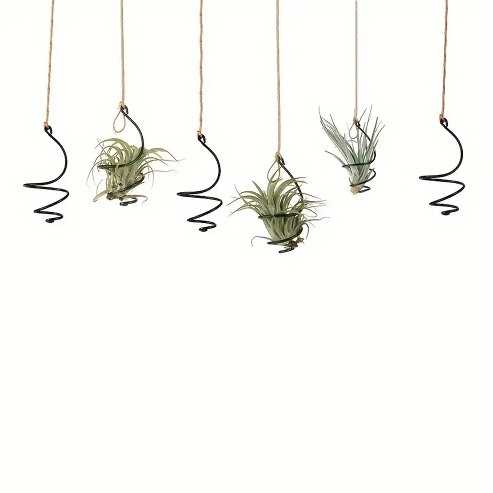 Nwsrayu jute rope air plant hanger highlights adjustable height versatility.