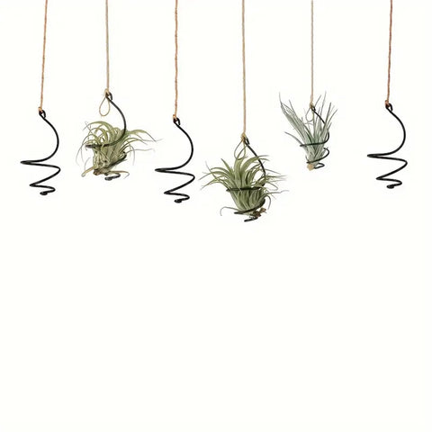 Nwsrayu jute rope air plant hanger highlights adjustable height versatility.