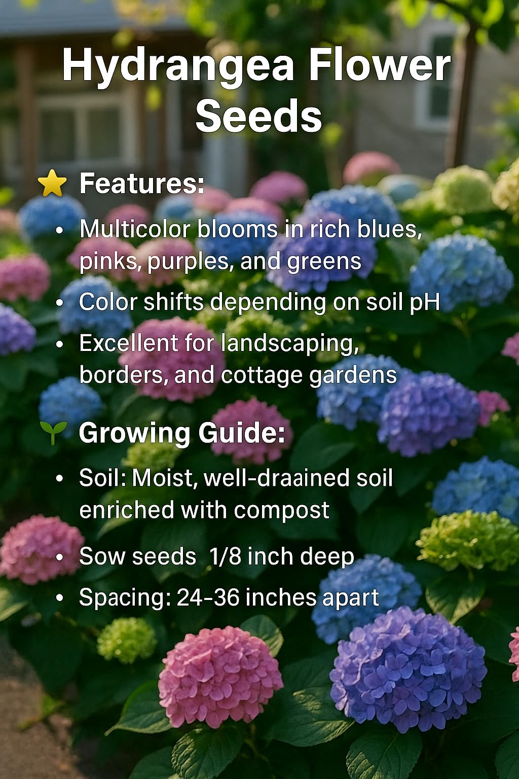 NYGardenia hydrangea seeds ideal for containers and borders