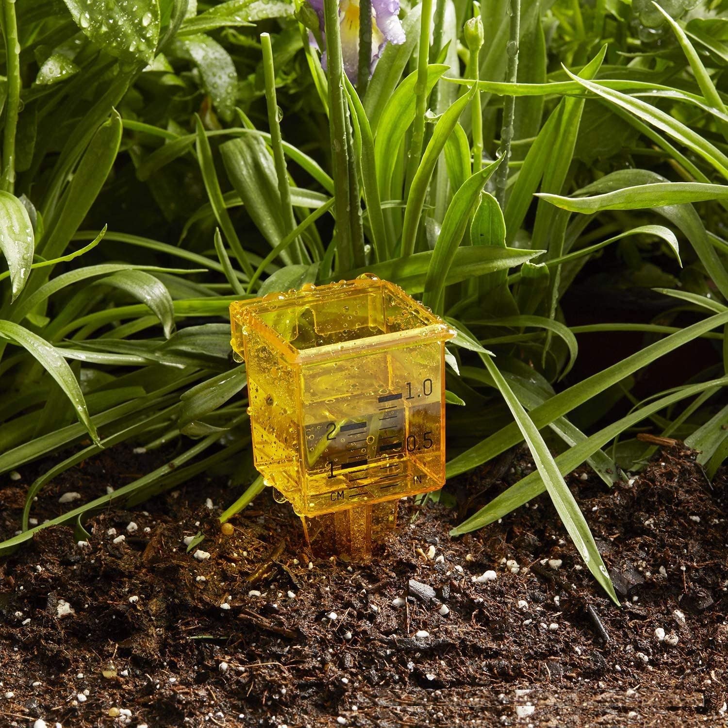 NYKKOLA 10-pack rain gauge provides quick outdoor irrigation monitoring options.