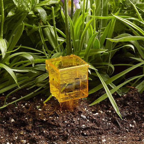 NYKKOLA 10-pack rain gauge provides quick outdoor irrigation monitoring options.