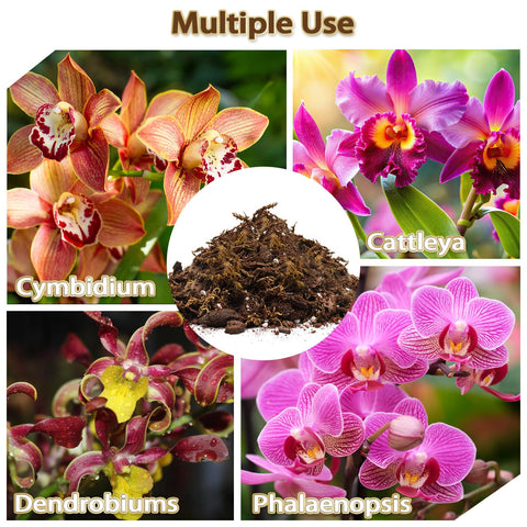 Nyobely Orchid Potting Mix demonstrates moisture balance in a plant pot.
