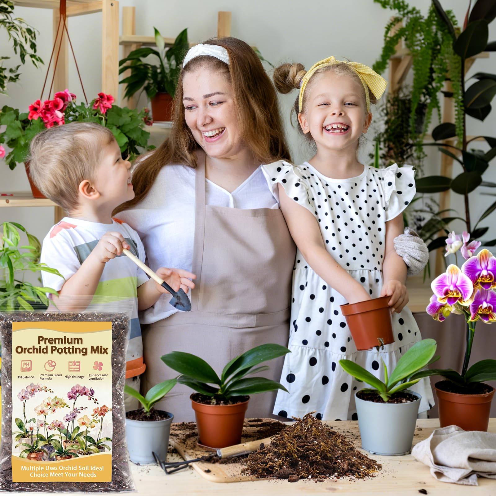 Nyobely mix applied during repotting for Phalaenopsis and other orchids