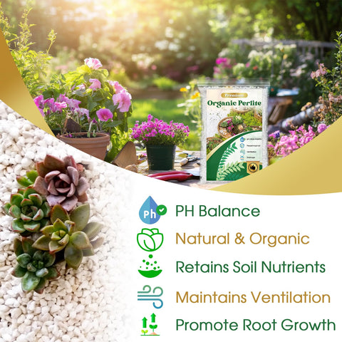 Nyobely Perlite improves drainage and aeration for plant hydration