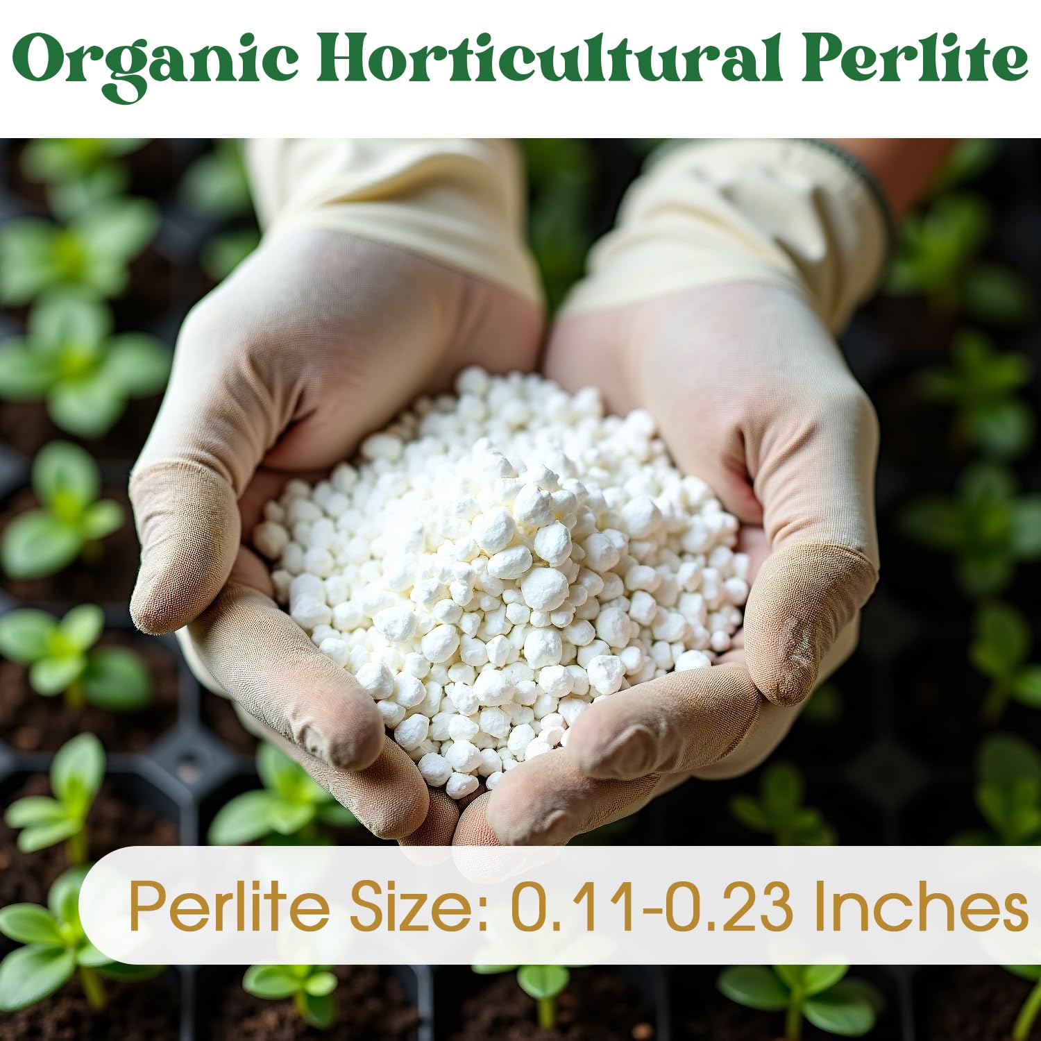 Nyobely Perlite suited for orchids and succulents for thriving roots