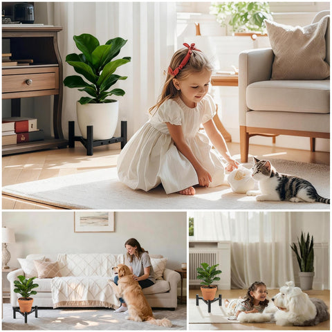 Nyrthil packaged-ready gift set suits plant lovers and new homeowners