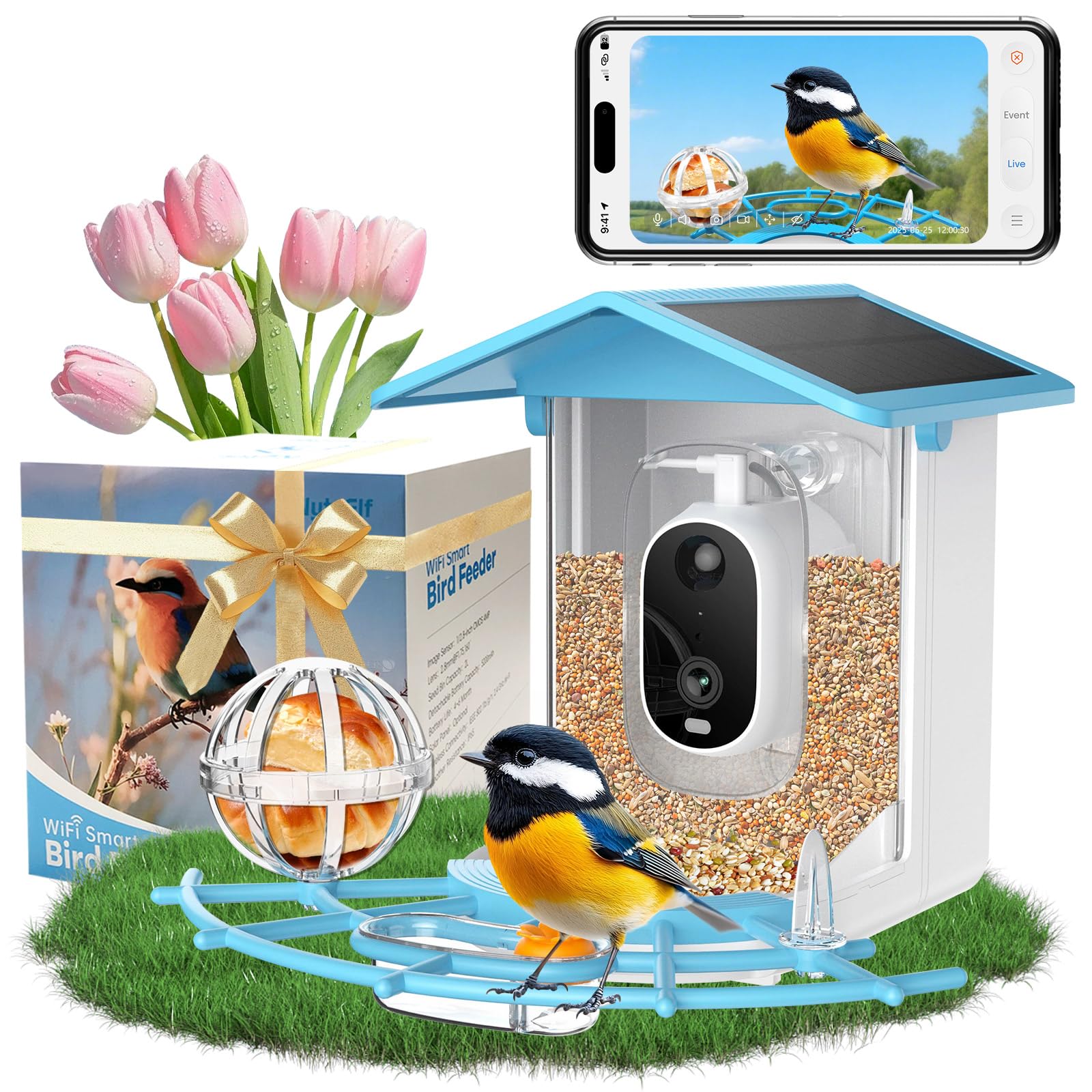 NyteElf bird feeder camera 2K live view for daytime bird watching.