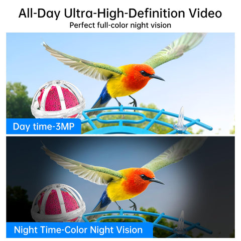 NyteElf night-vision imaging reveals birds after dark with color detail.