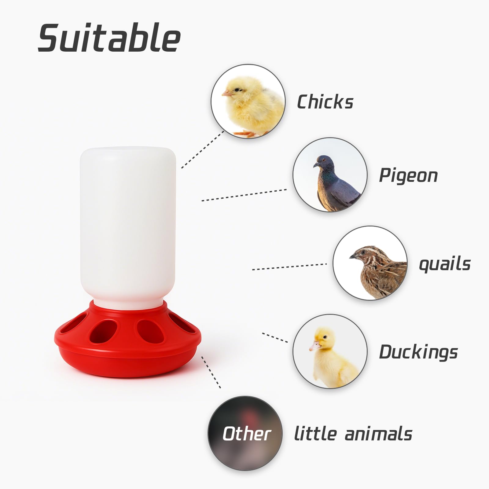 NZJWZS Baby Chick Feeder with durable construction withstands weather.