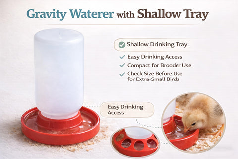 NZJWZS compact brooder-fit set in a small poultry setup.