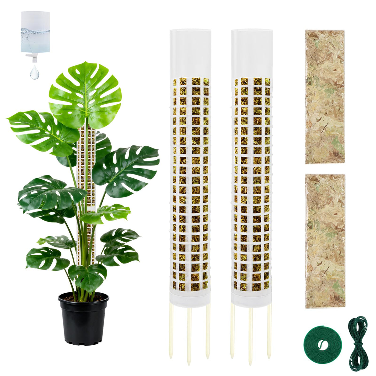 NZNDB Moss Pole Monstera plant support ready to boost climbing growth