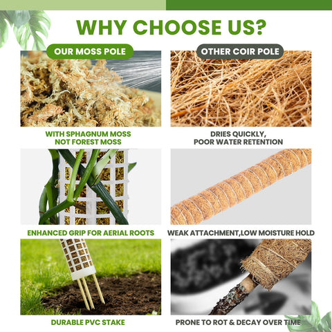 NZNDB self-watering valve controls moisture for healthier vines