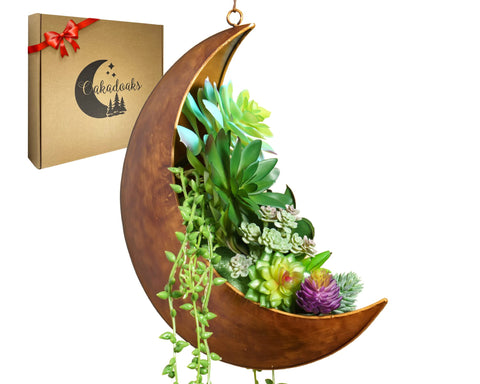 Oakadoaks Hanging Moon Planter closeup with rustic brushed finish for moon room decor