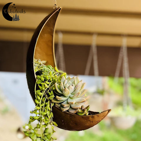 Oakadoaks Moon Planter gift-ready packaging and presentation