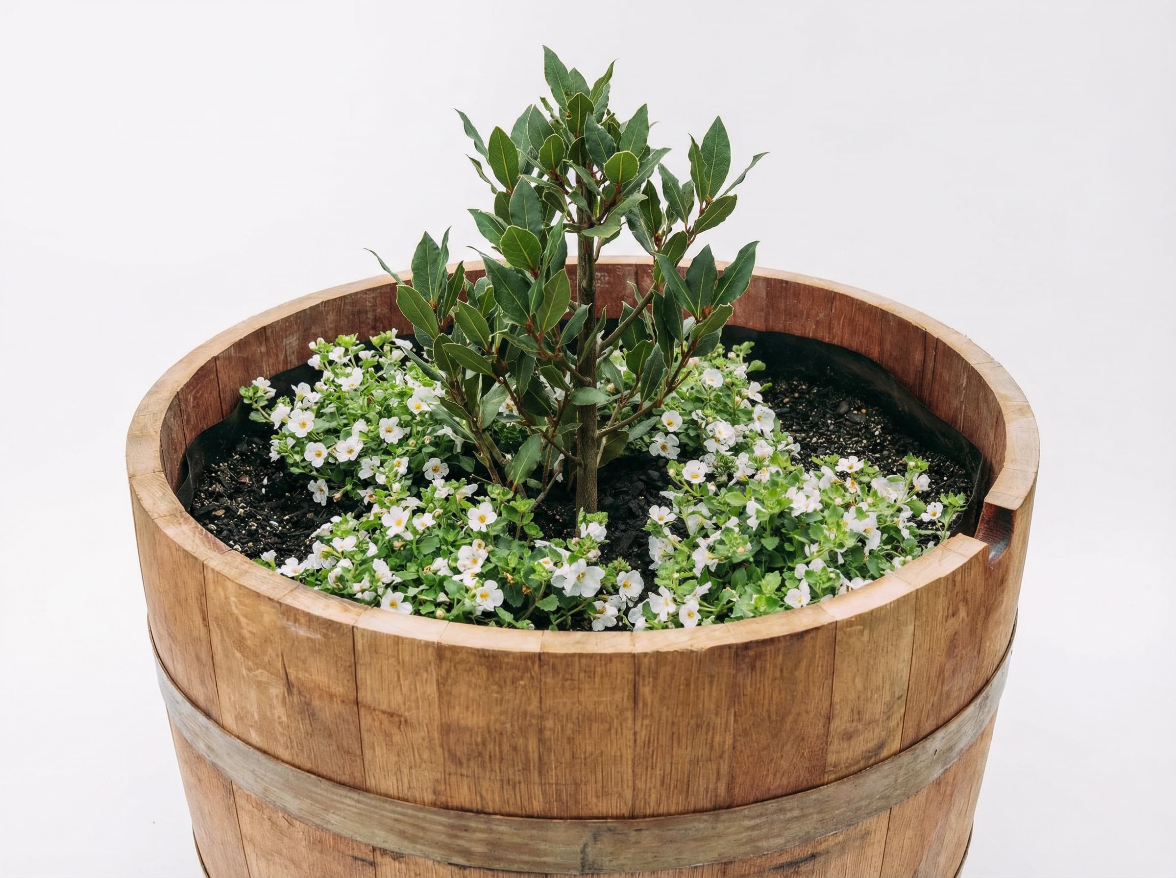 OAKENZ liner protects planter and surrounding surfaces from rot and stains.