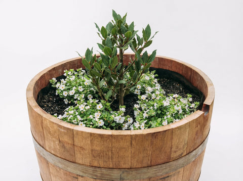 OAKENZ liner protects planter and surrounding surfaces from rot and stains.