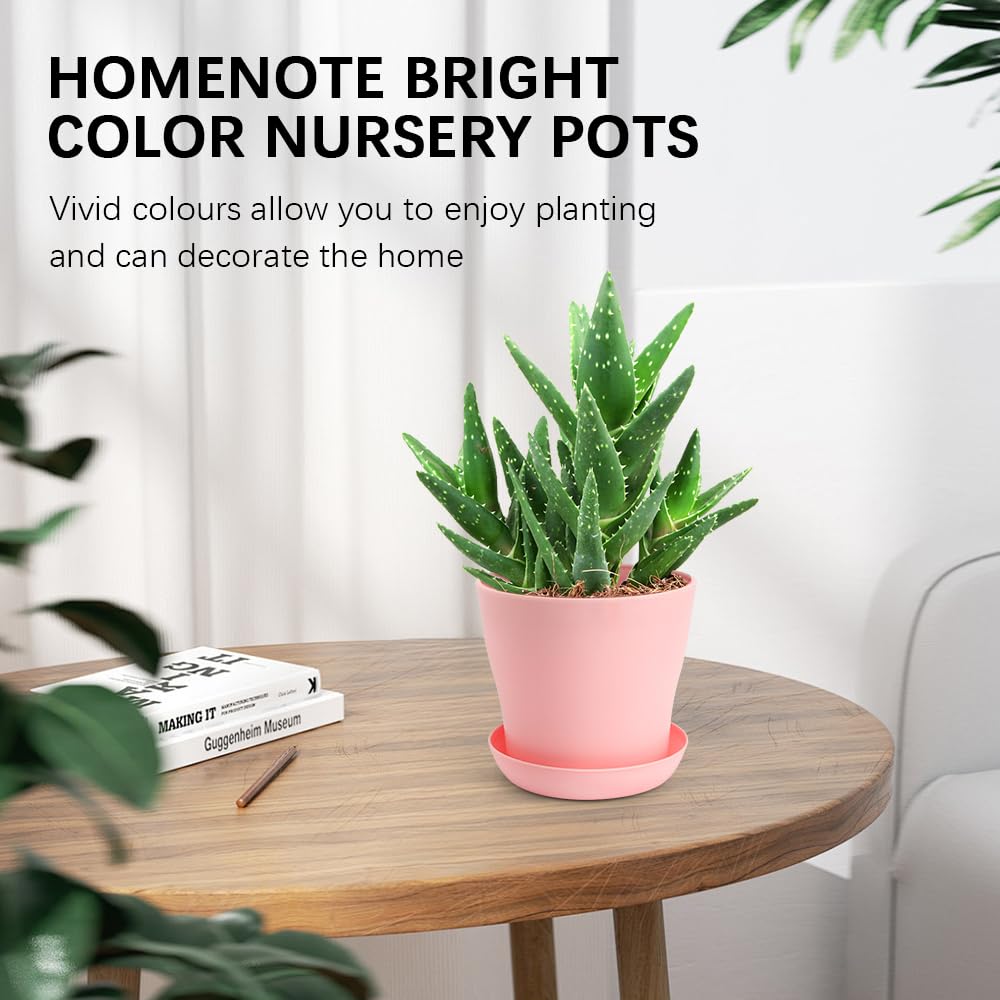 OALCQ set of five colors in pots suitable for mixed decor.