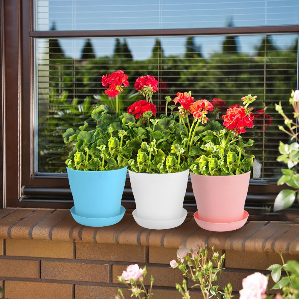 OALCQ compact indoor/outdoor pot for succulents and herbs.