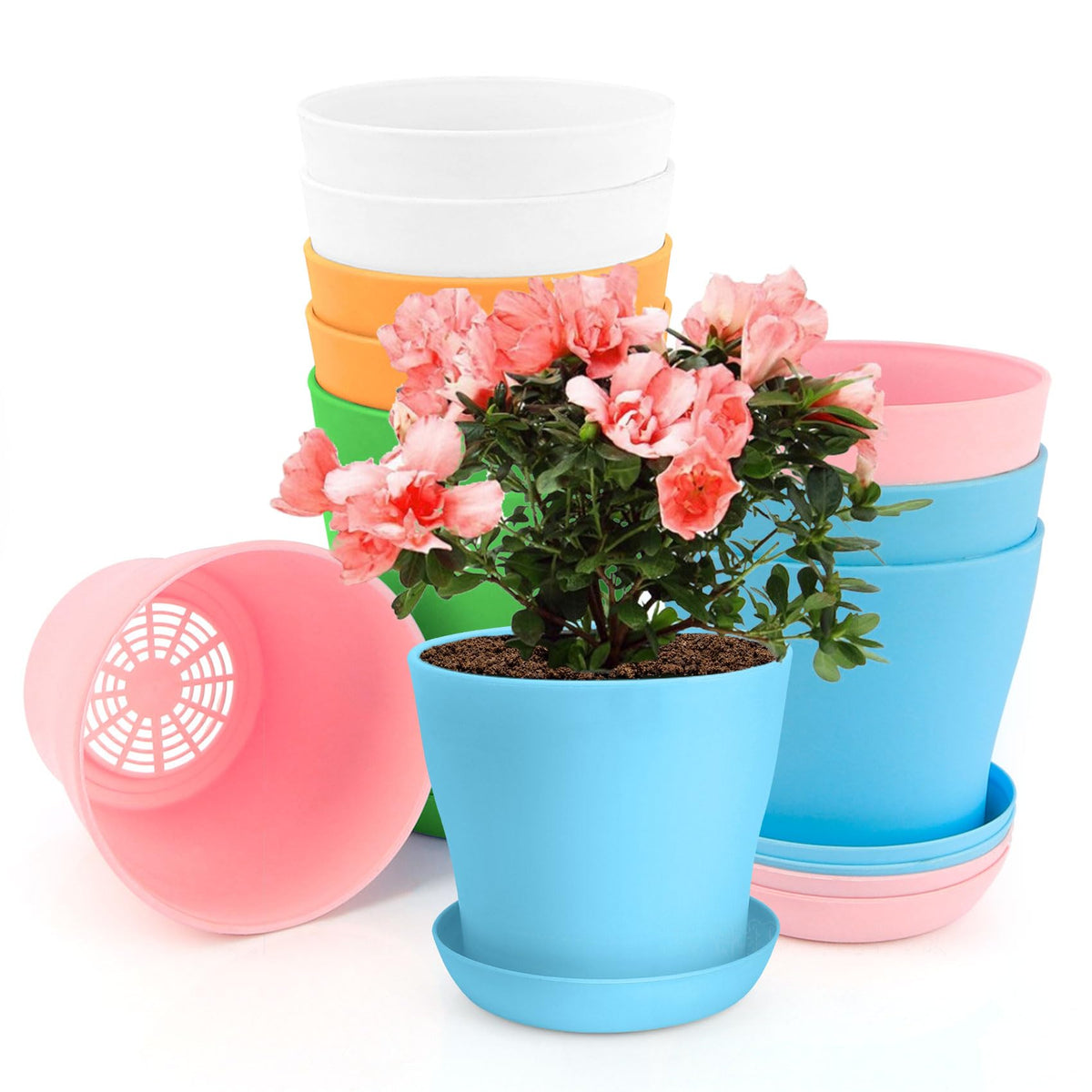 OALCQ 5-inch plant pot with drainage holes for indoor succulents.