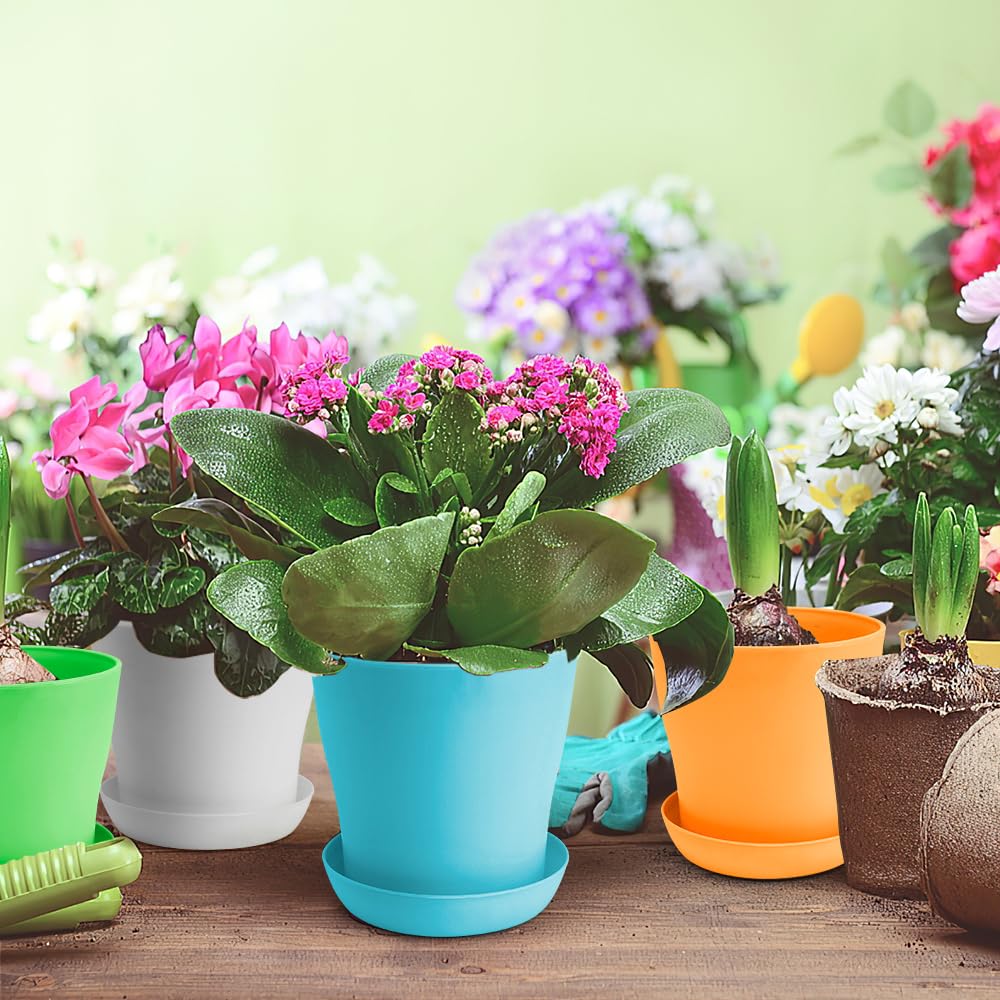 OALCQ pot with tray keeps surfaces clean and tidy.