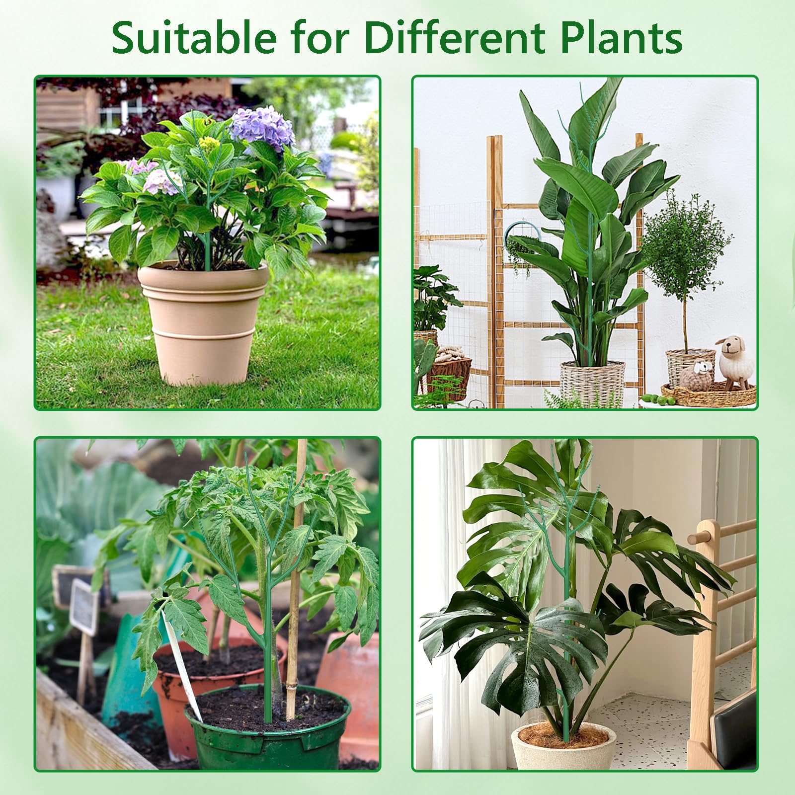 Obralitic custom-height trellis enables flexible setups as plants mature.