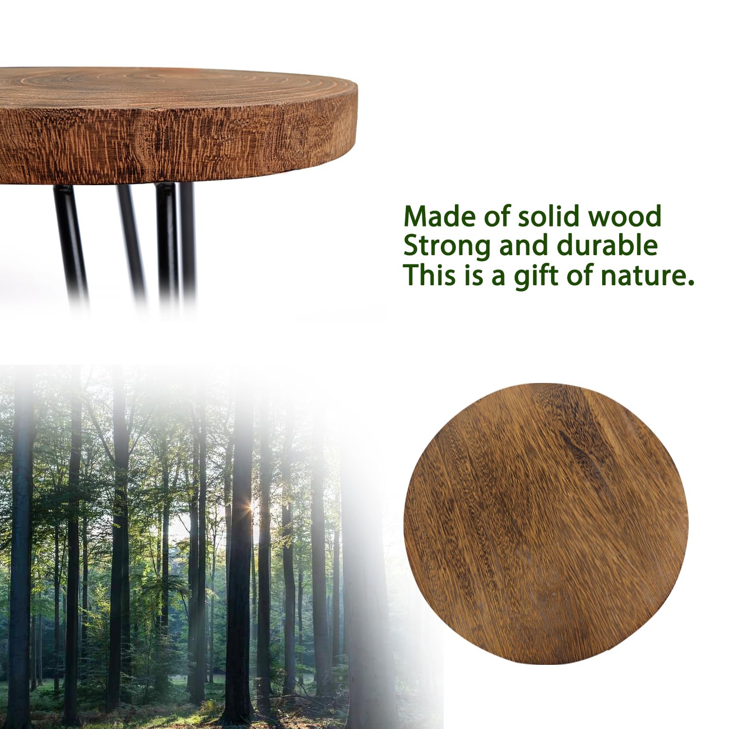 OBTAIN mid-century wood stand blends with furniture to elevate plant displays.