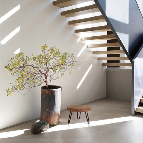 OBTAIN minimalist round stand fits varied pot shapes for flexible arrangements.