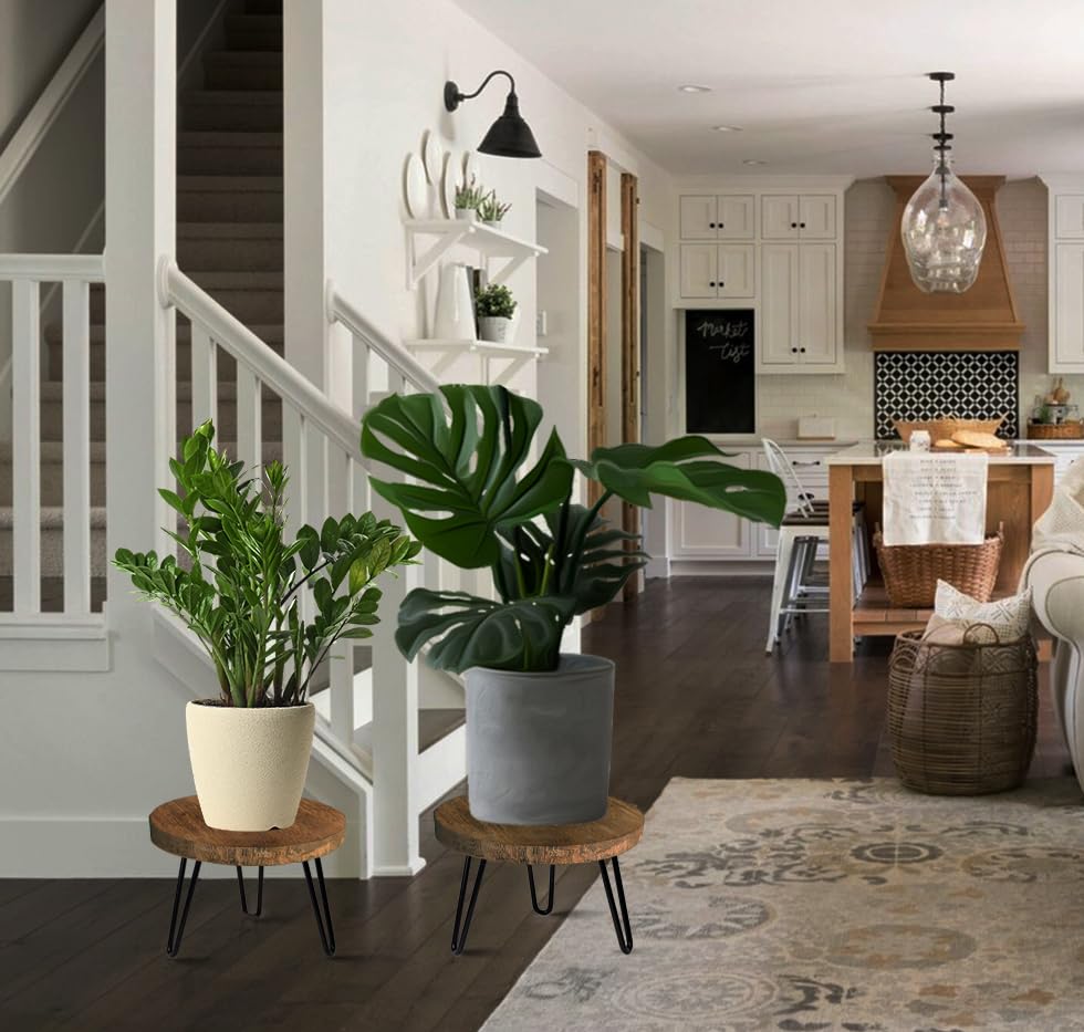 OBTAIN Boho rustic charm elevates home decor with potted plants.