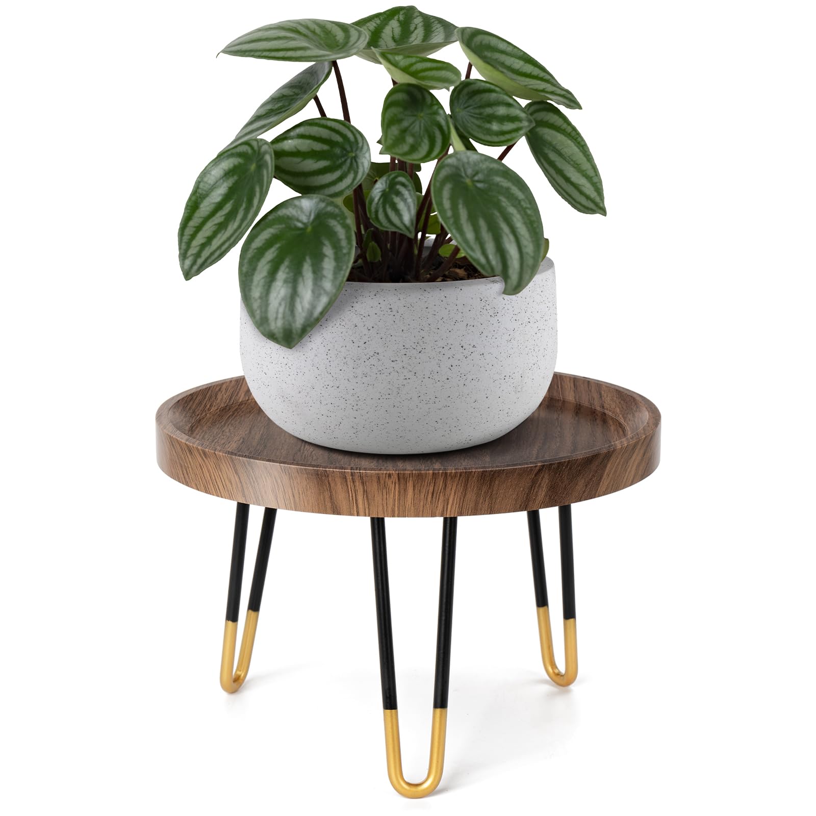 OBTAIN plant stand fits into corners for an elevated plant display.