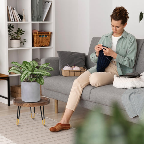 OBTAIN plant stand enhances living room decor with minimalist mid-century charm.