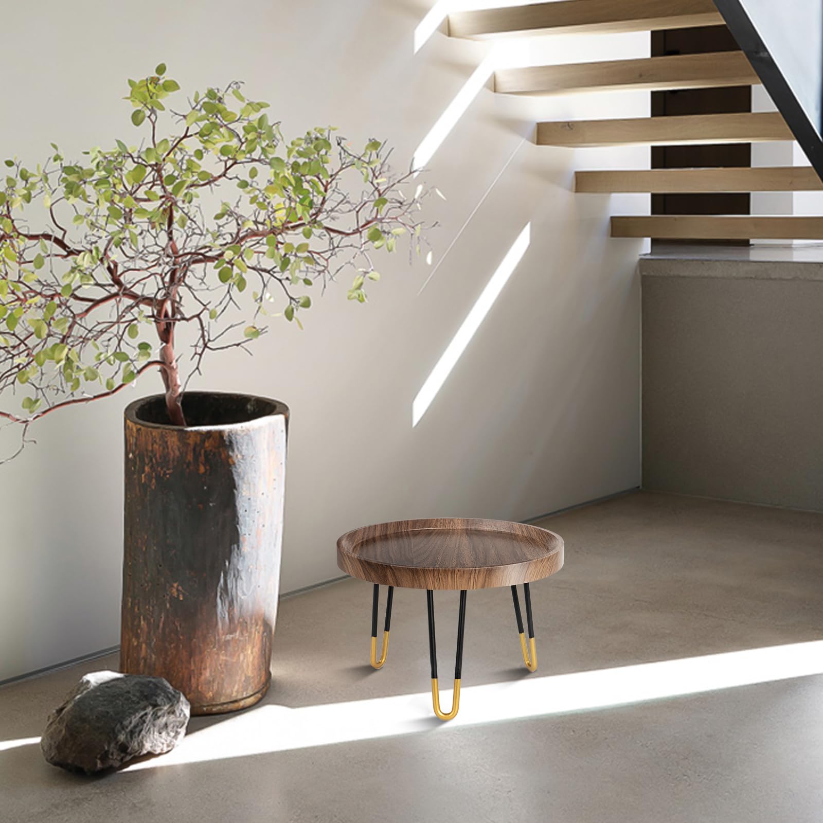 OBTAIN plant stand minimalist design adds natural vitality to any room