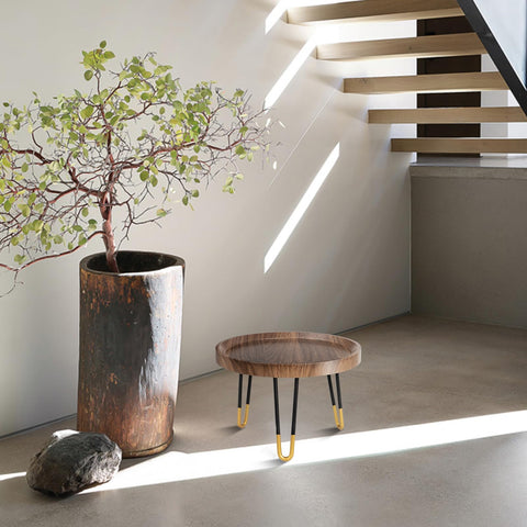 OBTAIN plant stand minimalist design adds natural vitality to any room