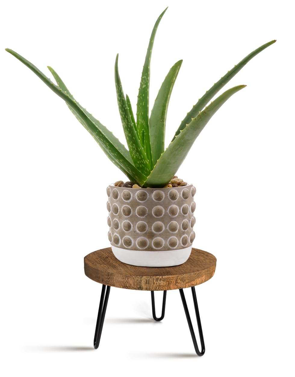 OBTAIN plant stand with natural wood top showcasing grain for indoor décor