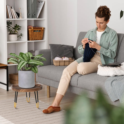 OBTAIN plant stand room decor setup enhances living space