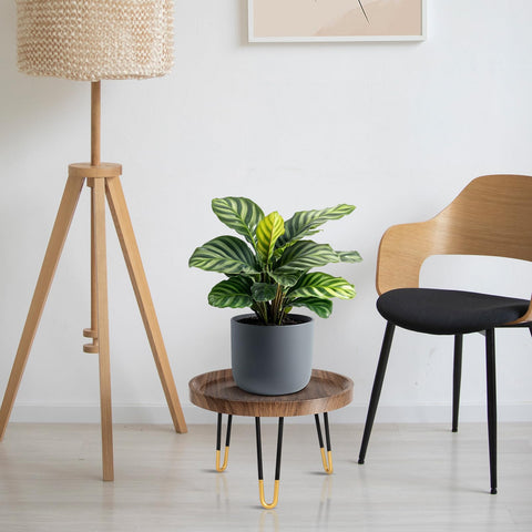 OBTAIN plant stand shows waterproof panel protecting floors during watering.