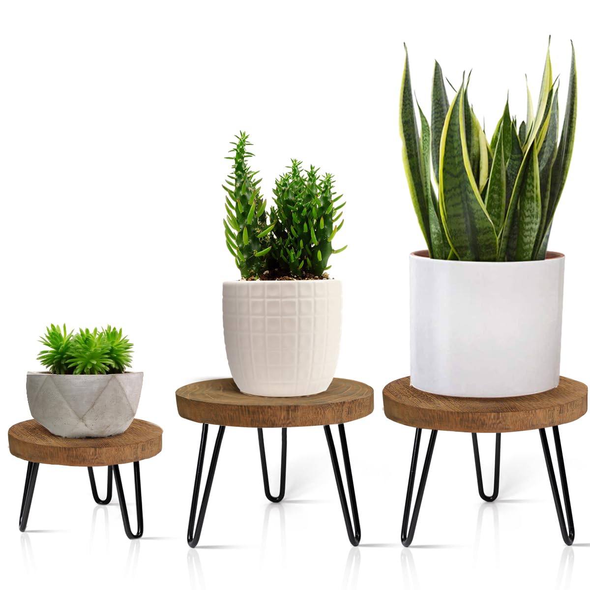 OBTAIN Plant Stand with wooden top plate highlights natural grain for stylish indoor displays.