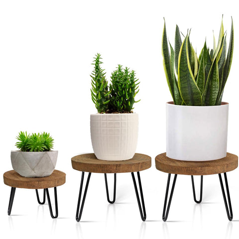 OBTAIN Plant Stand with wooden top plate highlights natural grain for stylish indoor displays.