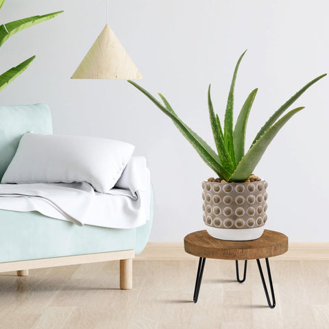 OBTAIN wooden plant stand with metal legs provides sturdy support for larger pots.