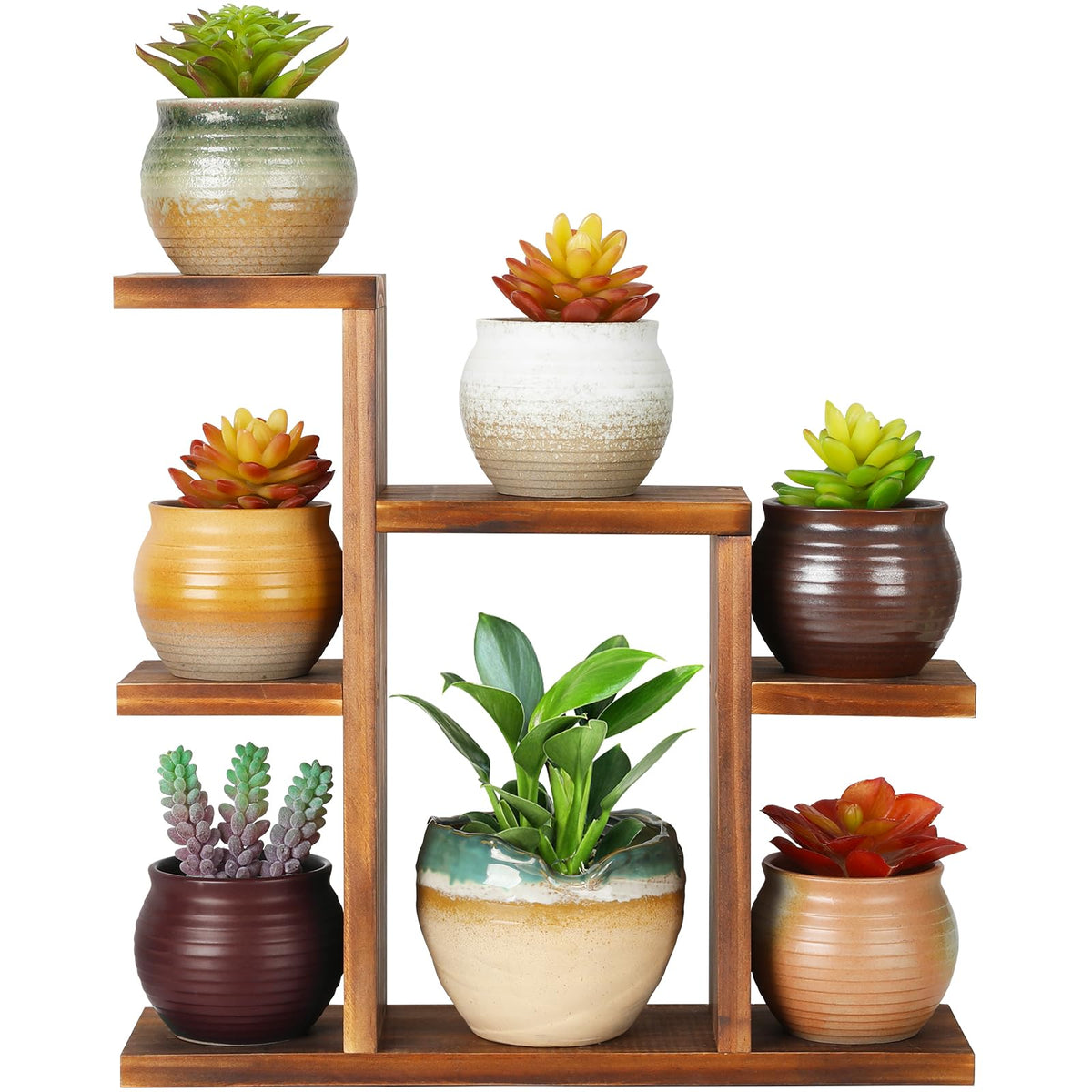 OcBuct 7-tier desk plant stand displaying organized succulents on a sunny desk