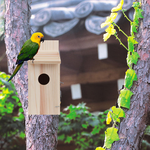 OceeK round window supports airflow and predator deterrence
