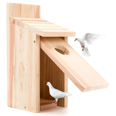 OceeK wrens nest box provides breathable entry for small songbirds