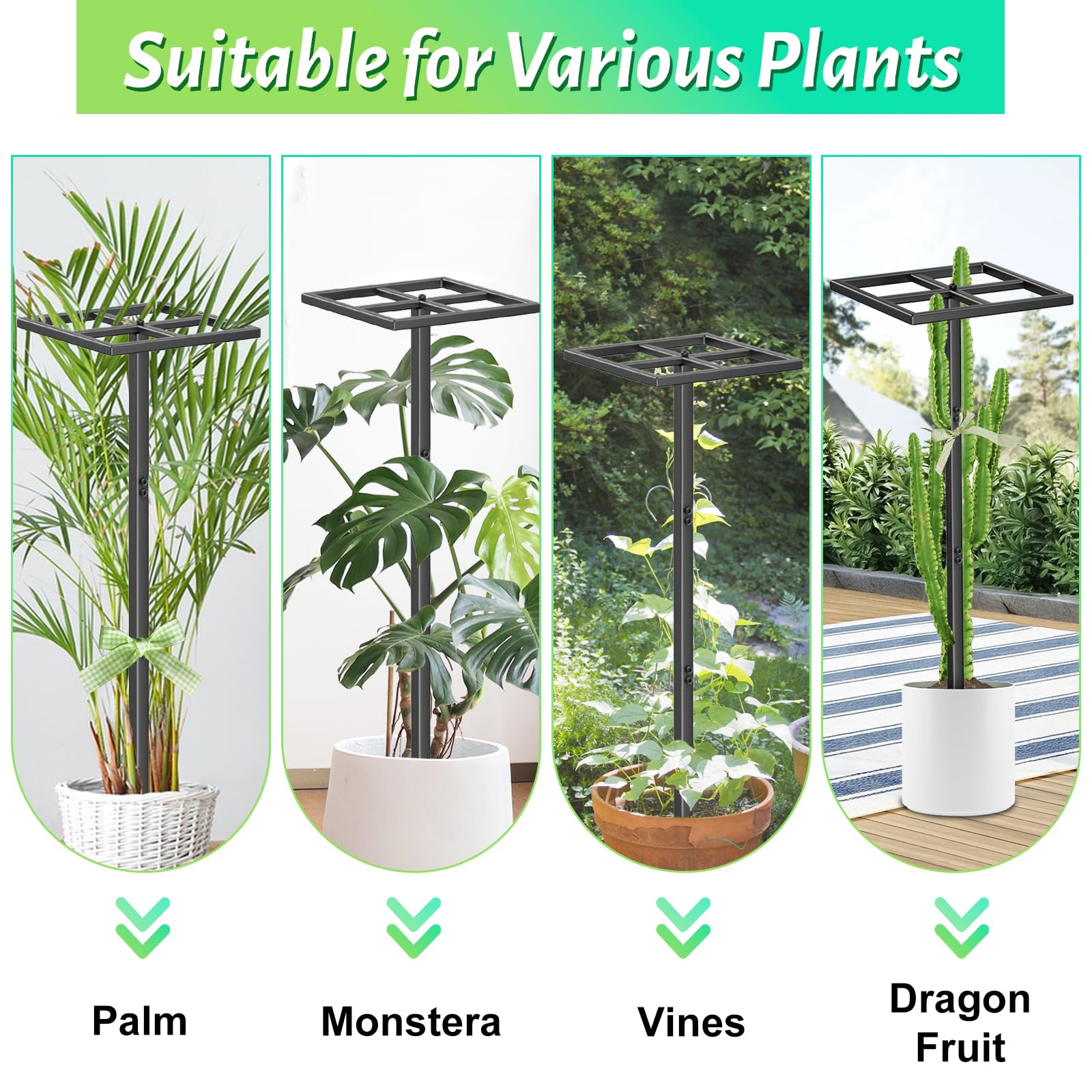 ODSNANIE square-base trellis design boosts stability against wind