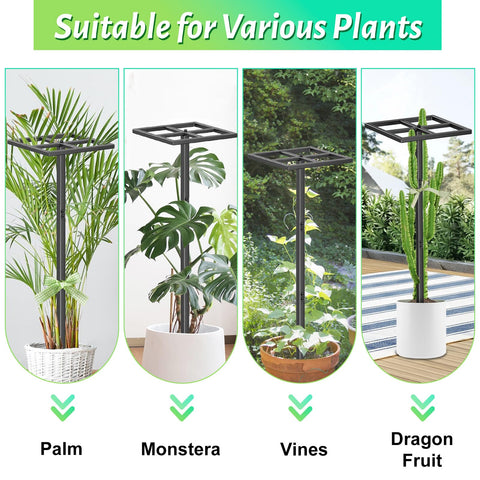 ODSNANIE square-base trellis design boosts stability against wind