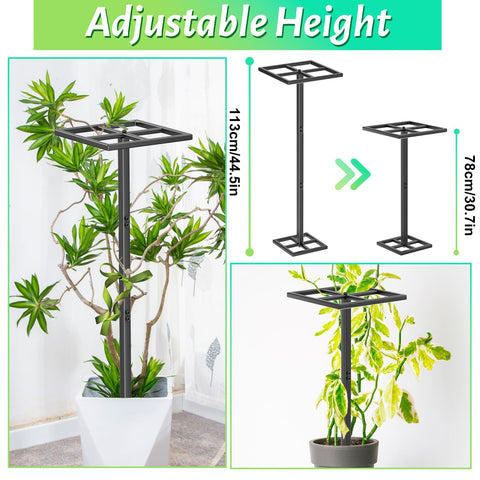 ODSNANIE versatile support for dragon fruit and climbing plants