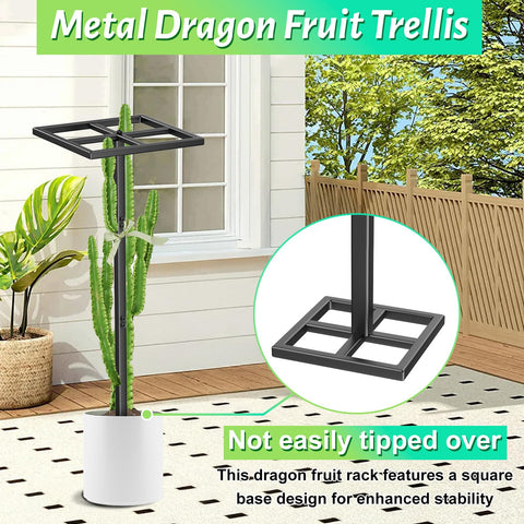 ODSNANIE vertical-growing trellis saves space in any garden