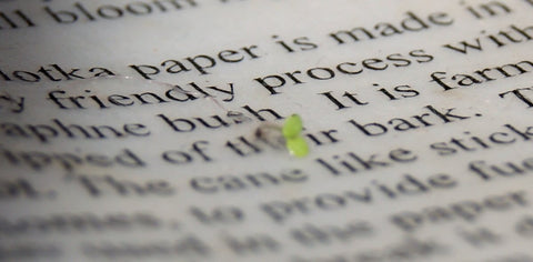 Lightweight 20 lb Lotka seed paper stock, ideal for single-sided printing