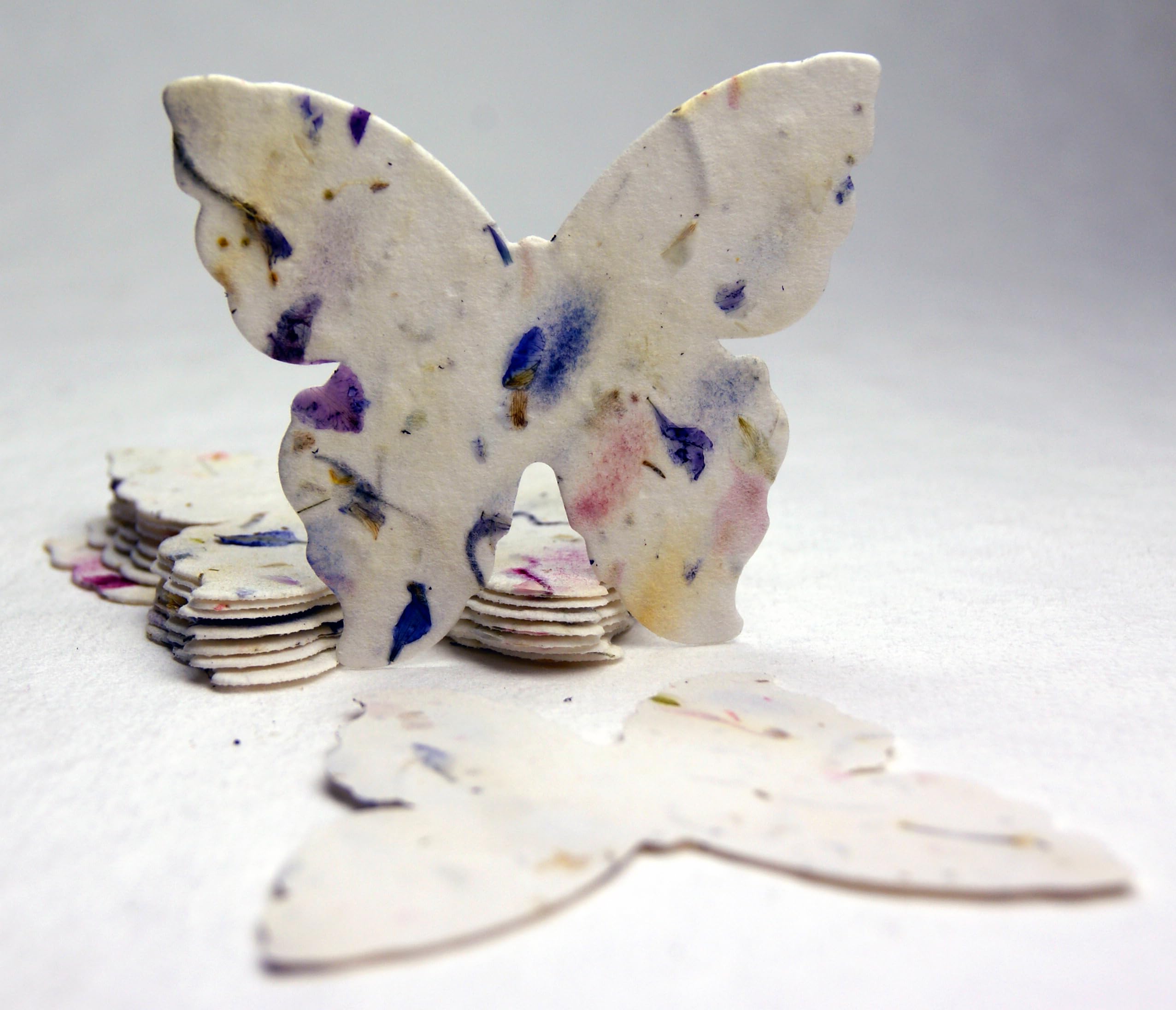 Of The Earth seed paper butterflies growth in garden after planting