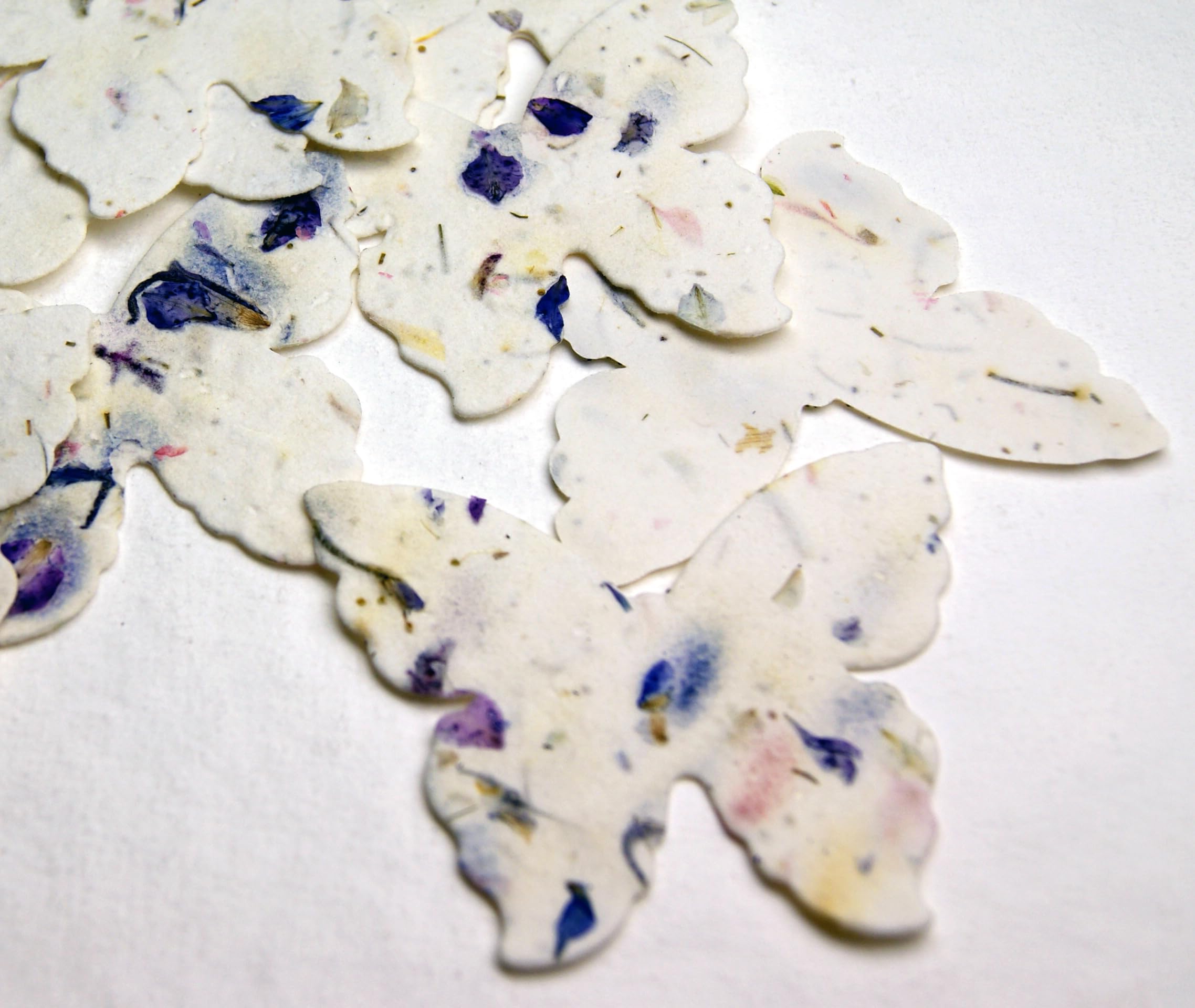 Of The Earth seed paper butterflies packaging with seed list
