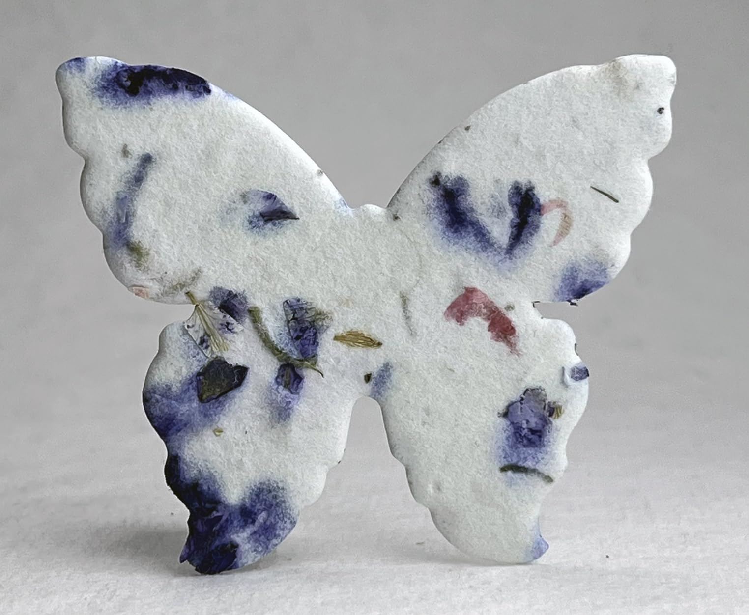 Of The Earth seed paper butterflies thrives in partial shade and sun